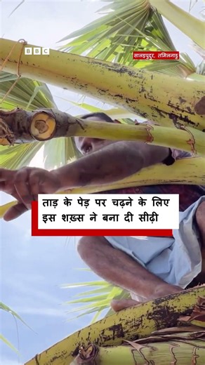 Tamilnadu में ताड़ के पेड़ पर आसानी से चढ़ने के लिए इस शख्स ने बना दी सीढ़ी (BBC Hindi)