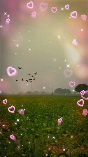 how 🤔 to get 1m views