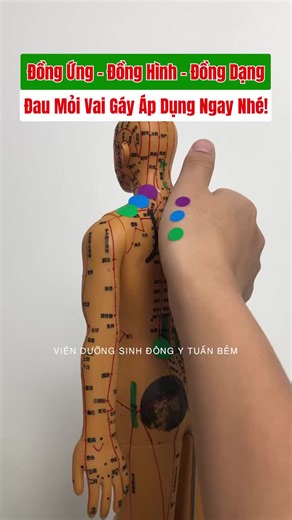 Ramadan Insights: Live Incentive Program Overview