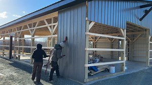 Now It's Time for the Back! Building our Off Grid Barn In The Woods | Ep. 12 More From Lumnah Acres on 👉 Facebook: https://www.facebook.com/LumnahAcres/ Instagram: https://www.instagram.com/lumnahacres/ YouTube: https://www.youtube.com/@LumnahAcres ✨Check out our YouTube channel ~ 🆕 videos 📹 3x a week (Tuesdays, Thursdays & Saturdays) Website: https://www.lumnahacres.com/ #lumnahacres #offgridbarnbuild | Lumnah Acres