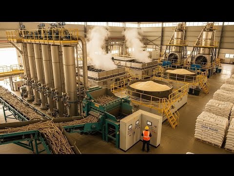 How Sugar is Made: Inside a Modern Sugarcane Processing Mill step by step