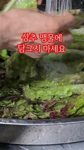 How to Eat Lettuce the Healthy Way