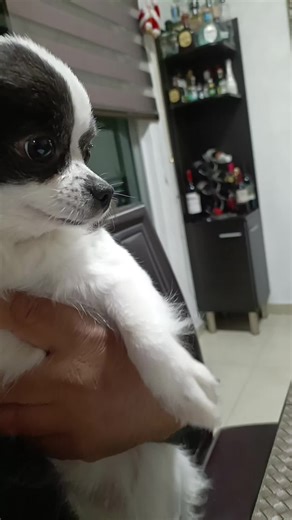 Videos de irreversible (@irreversible300) con “original sound - respect. KJ”