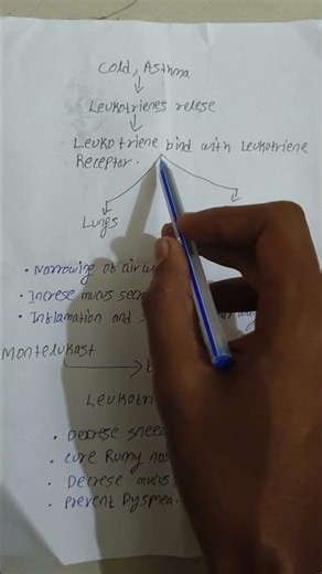 Montelukast vs Montek-LC: Uses, Working & Side Effects Explained