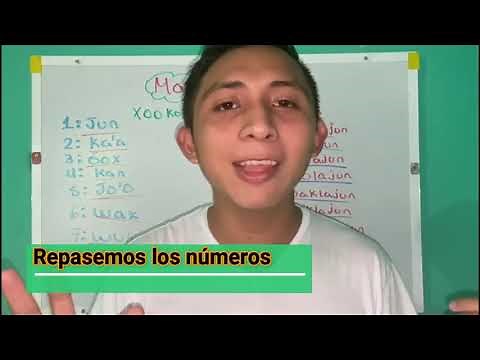 NUMBERS FROM 1-20 IN MAYAN