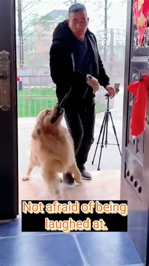 Funny Dog Videos 🔴🐶🐶 #reels #reelsfb #reelsviral #reelsvideo #reels2023 #dog #dogsofinstagram #dogs #puppy #doglover #dogstagram #dogoftheday #doglife #instadog #doglovers #love #pet #puppylove #cute #puppiesofinstagram #pets #puppies #instagram #dogsofinsta #doggo #cat #dogphotography #petsofinstagram #doglove #ilovemydog #animals #hund #petstagram #dogslife #instagood #puppy #dog #dogsofinstagram #puppylove #dogs #puppiesofinstagram #dogstagram #dogoftheday #doglover #puppies #instadog #dog