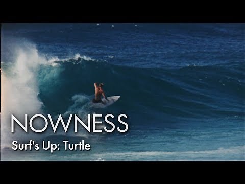 Surf's Up: Turtle