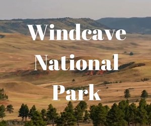 🌬️ Wrapping up National Park Week with a shoutout to Wind Cave National Park! 🏞️🌟 Known for its unique boxwork formations and being one of the longest caves in the world, Wind Cave offers an underground adventure like no other! 🧗‍♀️✨ Whether you’re exploring the cave or enjoying the park's stunning prairie landscapes, Wind Cave is a hidden gem that brings both history and nature to life! 🌾🦋 #NationalParkWeek #WindCaveNationalPark #UndergroundWonders #SouthDakota #NatureMeetsHistory #Explor