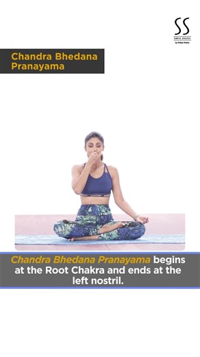 The Prana Sutra | Day 1 | Chandra Bhedana Pranayama #pranayama #mindfulyoga #shilpashetty #fitindia