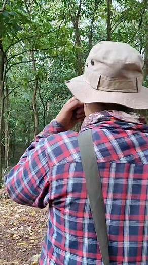 Pasar Bunian Tersembunyi di Jawa Timur: Cerita Orang Wel dan Keajaiban Pasar Setan