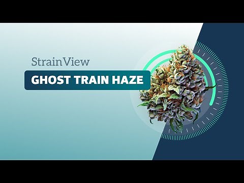 Ghost Train Haze - Strainview