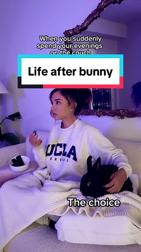 Bunnies > humans 🤷🏻‍♀️🤷🏻‍♀️🤷🏻‍♀️ #bunny #freeroamingbunny #lennonthebunny #cuteanimals #bunniesoftiktok #rabbits #babybunny
