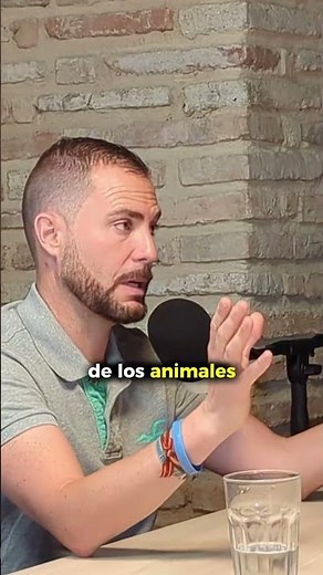¿Pienso vs. Comida Húmeda? La forma SECRETA de mejorar la dieta de tu perro 🤫