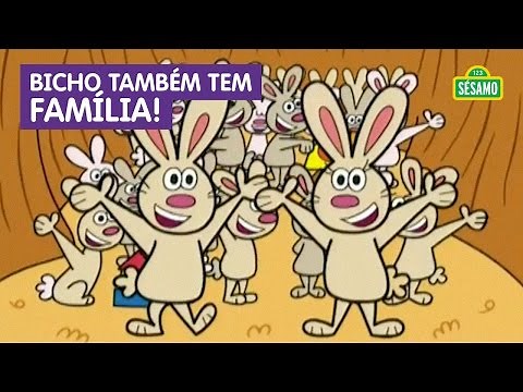 Sésamo: Bicho também tem família!