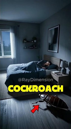 What Happens If a Cockroach Crawls Into Your Ear?