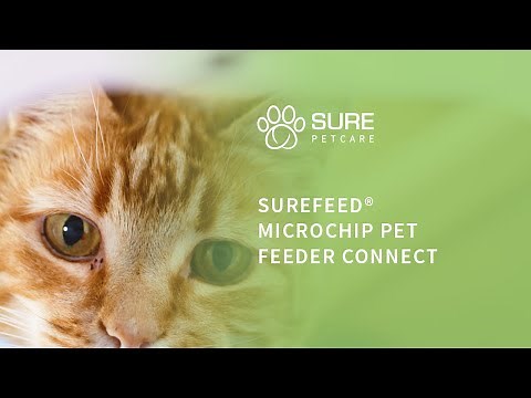 SureFeed® Microchip Pet Feeder Connect