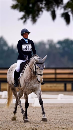 Liz Lund on Instagram: "Another one in the books! Hillside Diamond Lad CF, @maura.meehan.tierney’s Tully and I had a great test in the OP at the @floridahorsepark Ocala I one day on Thursday! The pieces are coming together and it’s fun testing them in the ring! • 🎥: @thezebragroup • @antaressellier_usa @antaresflorida @antaressellier @antares_midwest @flairstrips @revitavetofficial @theuncorkedhorse @stocktie @copelandfarms.cf @freejumpsystem @unbeetablefeeds • #copelandfarms #lizlundequestrian