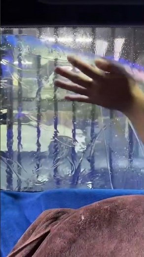 Color changing Royal Purple Window Film#window #windowtinting #windowtint#car