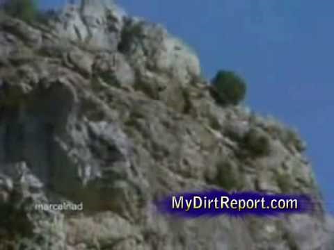 Eagle throws goat off cliff to its death