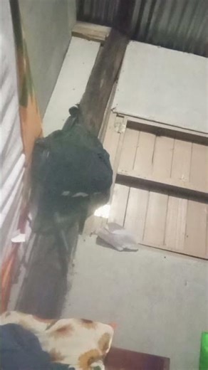 1 de febrero de 2026