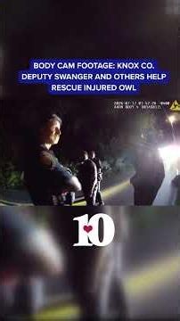 Body camera footage shows KCSO officers help injured owl