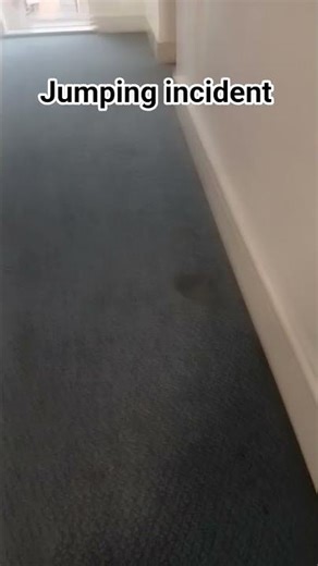 #memes #funny #explosion