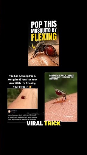 You CAN’T Kill a Mosquito by Flexing Your Arm 😳🦟 #shorts #viral #facts