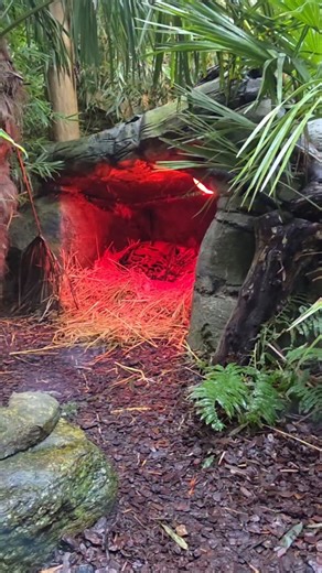 How to deal with a cold February by Ming: Find a cosy cave, get the heating on, bed down and wait for summer! Great idea Ming 😴😏 #crocodilesoftheworld #brizenorton #oxfordshire | Crocodiles of the World