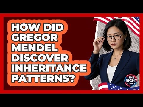How Did Gregor Mendel Discover Inheritance Patterns?