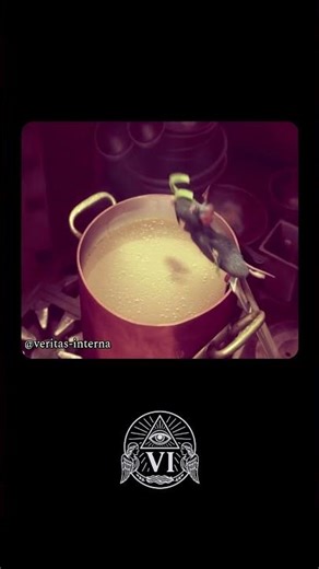 Let Insight Grow — The Power of Slow Progress