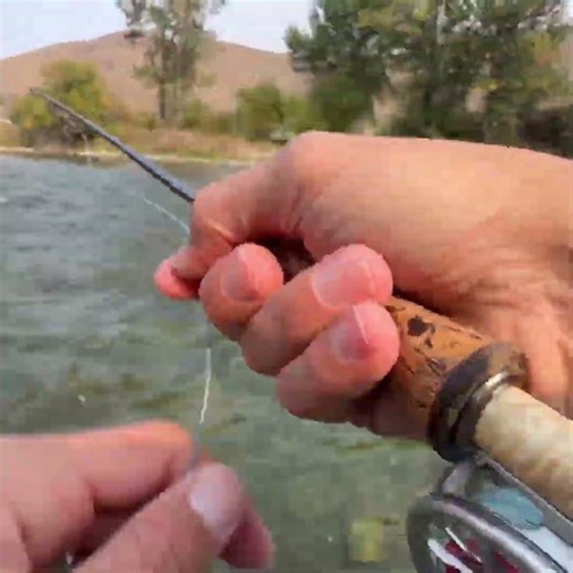 I Landed a MONSTER Cutthroat Trout Dry Fly Fishing