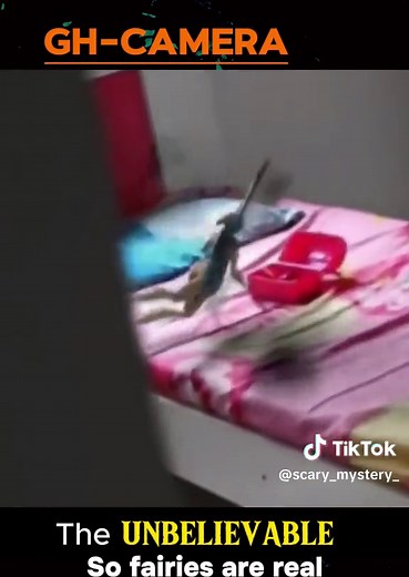 Proof That Fairies Are Real: Unveiling Mysteries and Haunting Encounters