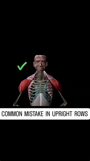 Upright rows correct form ✅️ | Azra Fitness