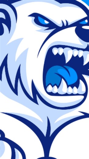 POLAR on Instagram: "REBRAND - POLAR CALISTENIA A nova logo do Polar representa evolução, força e identidade. O urso polar simboliza disciplina, resistência e domínio do próprio corpo — quem suporta o extremo e segue avançando. Com traços mais fortes e cores marcantes, o Polar se posiciona como marca, movimento e referência na Calistenia e no Street Workout. #polarcalistenia #streetworkout #calistenia #rebrand"