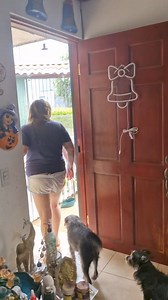 158K views · 1.6K reactions | Y listo ya mi gordo alias aspiradora inalambrica ya bañadito y listo para hacer de las suyas feliz tarde querida familia Chanchi Colors CR | Chanchi Colors CR | Facebook