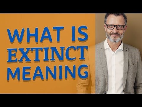 Extinct | Definition of extinct