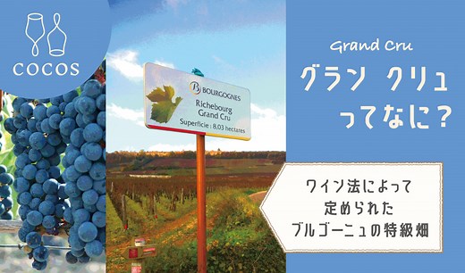 グランクリュとは？｜特級畑が特別な理由とブルゴーニュ以外との違い