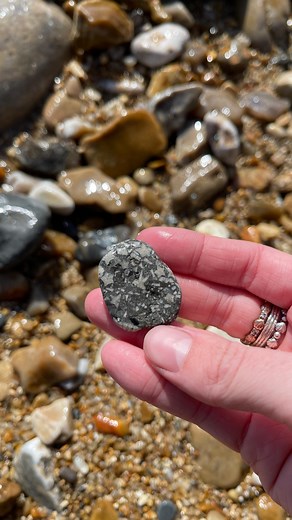 11K views · 22 reactions | Here is a piece full of crinoid that I found along the Jurassic Coast, Dorset  #fossils #fossil #crinoid #fossilfriday #ammonite #ammonites #pyrite #ancient #curiosity #nature #photography #natural #naturalhistory #jurassic #coast #jurassiccoast #beach #stones #rocks #sea #sand #maryanning #dinosaur #palaeontology #geology #dorset #charmouth #charmouthbeach #lymeregis #fascinatingfossils | Fascinating Fossils | Facebook