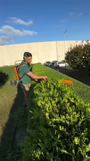 Exploring Texting Stories: The Rizz App on TikTok