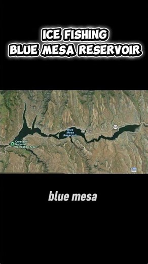 What’s Your Favorite Fish To Target on Blue Mesa? #icefishing #colorado #troutfishing #outdoors