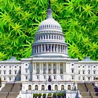 Bumbledom by Oliver Buckland on WhoSampled