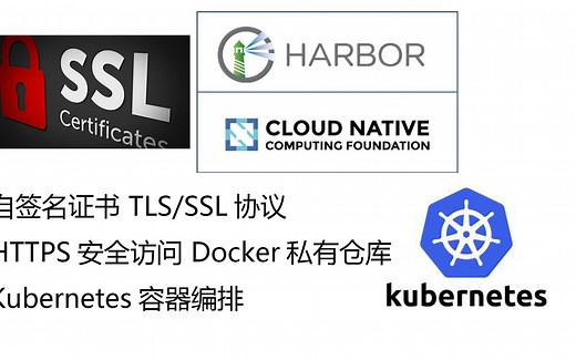 自签名TLS/SSL证书HTTPS协议CA证书 Docker私服仓库 Kubernetes 容器编排工具 云原生