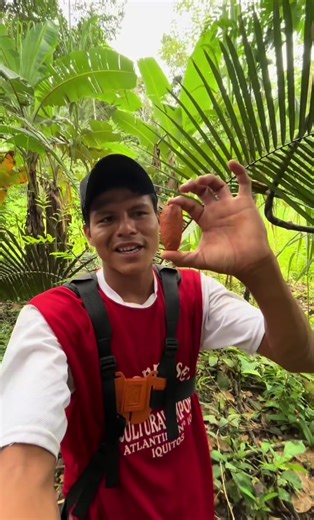 Descubre el Anduche: Fruto Peculiar de Iquitos