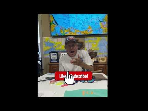 How do fish see color?