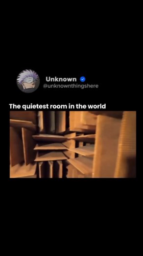 The quietest room in the world is found at Orfield Laboratories in Minneapolis, USA, known as the anechoic chamber. It holds the Guinness World Record for being the most silent place on Earth, with a background noise level measured at –9.4 decibels (dBA). The chamber is built with sound-absorbing wedges on the walls, ceiling, and floor, completely eliminating echoes and blocking out all outside noise. Inside this room, silence becomes so intense that people can hear their own heartbeat, lungs, a