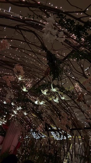 MONTAGE EVENT COMPLEX (@montagecomplex)’s videos with original sound - MONTAGE EVENT COMPLEX