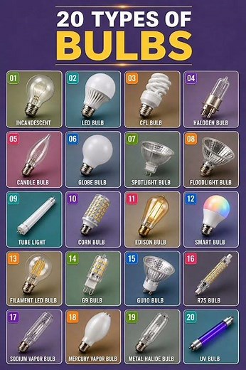 This graphic showcases 20 distinct bulb types / 20 Types Bulbs 🍅🍅🍅