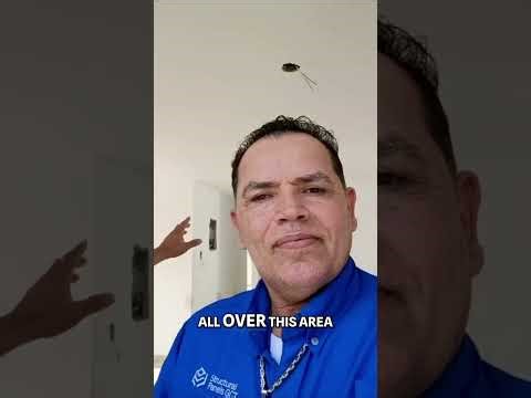 SCIP Building System Explained: Energy-Efficient, Resilient Homes in Puerto Rico