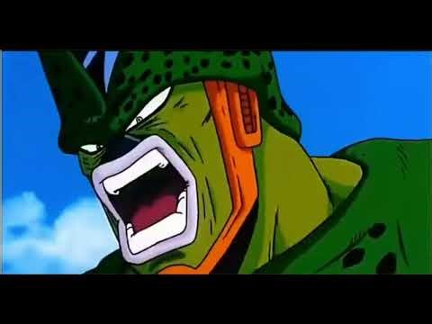 Semi-Perfect Cell's Paradise