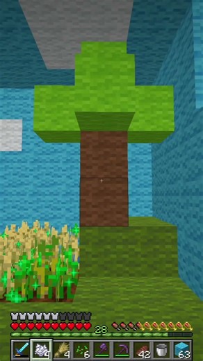 Minecraft Simulation